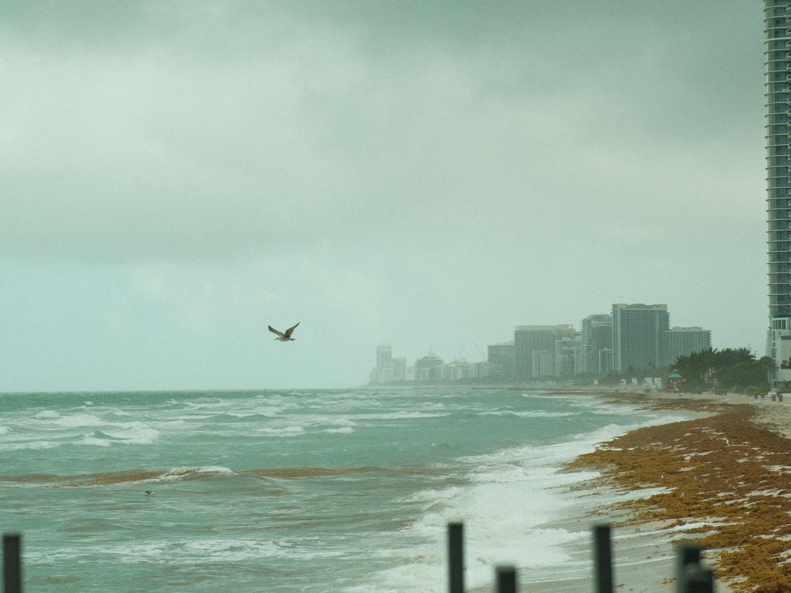 How to Choose Hurricane Protection for a Hotel or Development