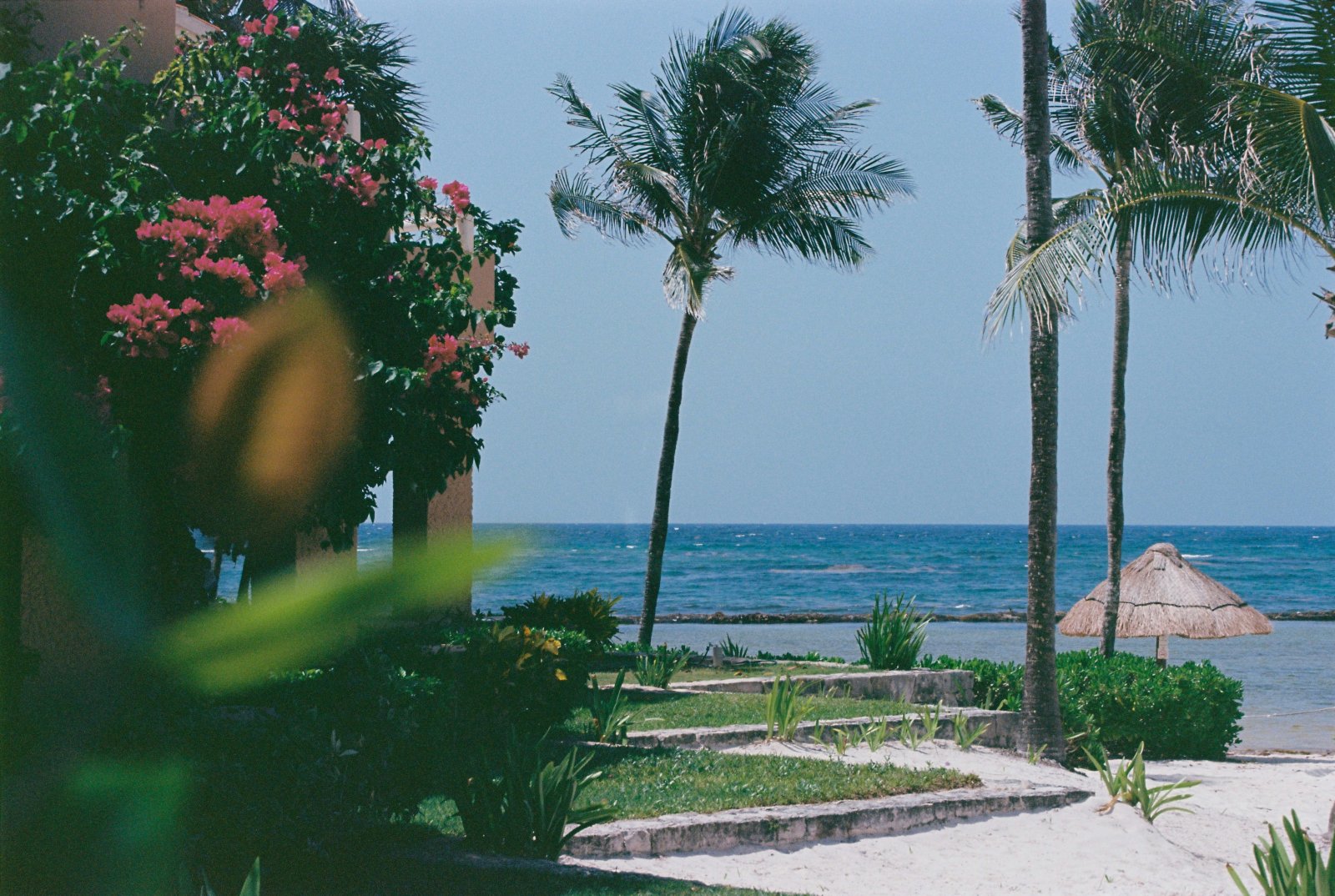 How Much Does Hurricane Protection Cost in Puerto Aventuras? 2026 Prices by System and Property Type